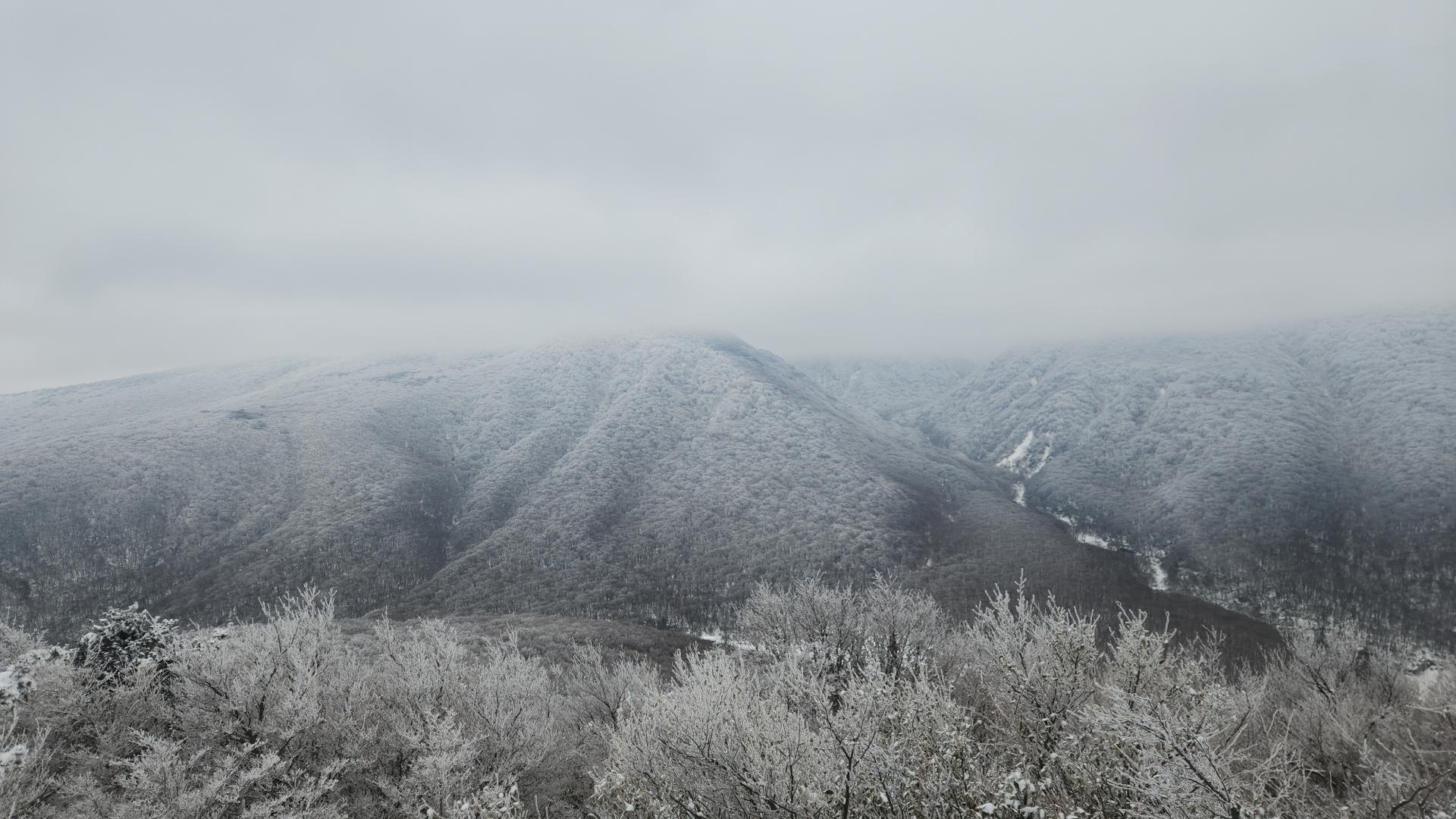 눈 덮인 한라산 자락과 상고대 핀 숲의 설경